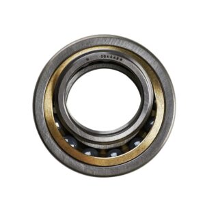 4 Point Contact Ball Bearings