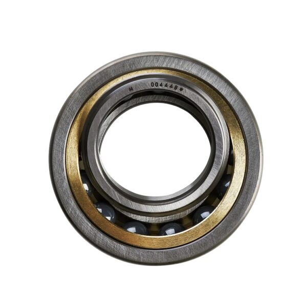 4 Point Contact Ball Bearings
